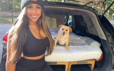 customer gallery - nissan rogue camper conversion 2