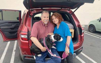 customer gallery - honda pilot camper conversion